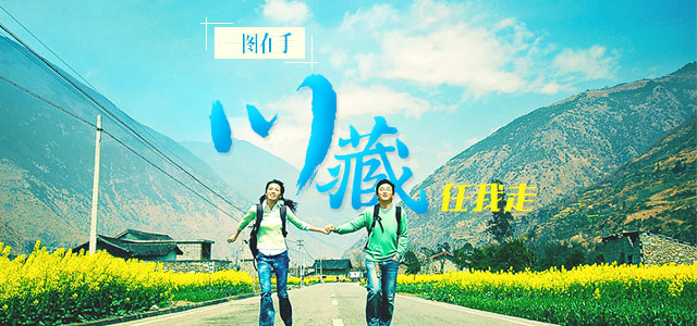 运营专员